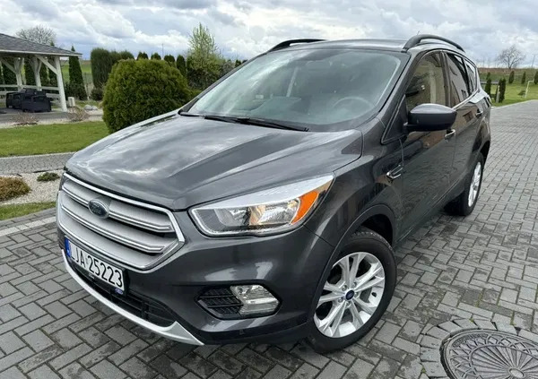 samochody osobowe Ford Escape cena 59900 przebieg: 44000, rok produkcji 2018 z Nowogard